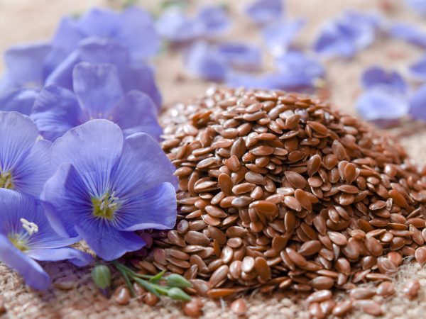 Course 4: Seed Crop Certification Process and Traceability